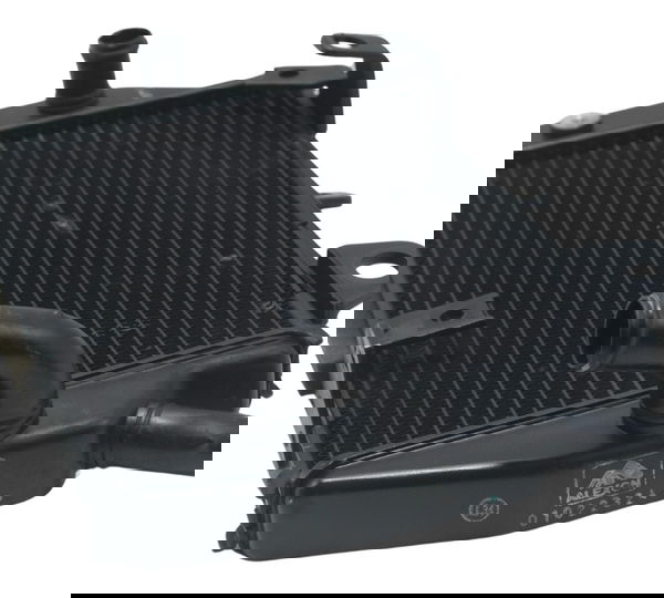 Radiador Esquerdo Triumph Tiger 900 Rally Pro 20-24 Original