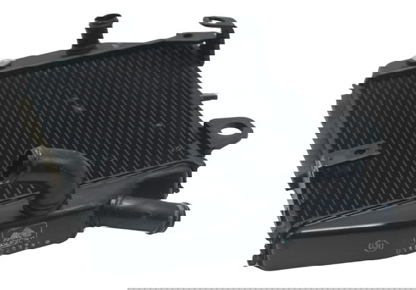 Radiador Esquerdo Triumph Tiger 900 Rally Pro 20-24 Original