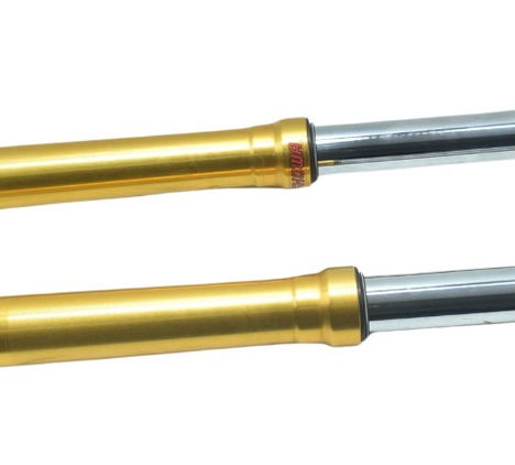 Par Bengalas Triumph Tiger 900 Rally Pro 20-24 Original