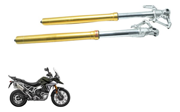 Par Bengalas Triumph Tiger 900 Rally Pro 20-24 Original
