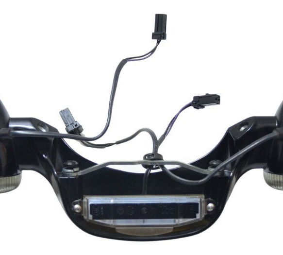 Pisca Traseiro Completo Harley Touring Road Glide 114 21-22