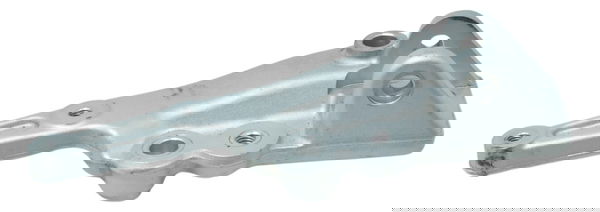Bacalhau Dianteir Esq Triumph Tiger 900 Rally Pro 20-24 Orig