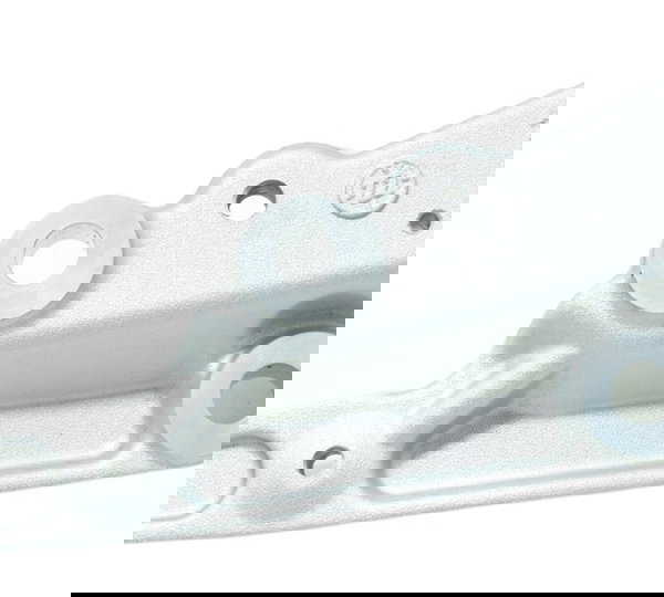 Bacalhau Dianteir Esq Triumph Tiger 900 Rally Pro 20-24 Orig