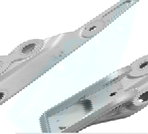 Bacalhau Dianteir Esq Triumph Tiger 900 Rally Pro 20-24 Orig