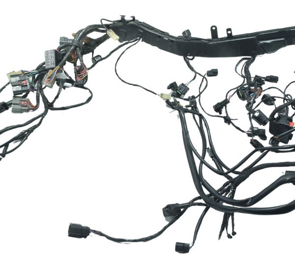 Chicote Principal C/ Avari Triumph Tiger 900 Rally Pro 20-24