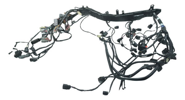 Chicote Principal C/ Avari Triumph Tiger 900 Rally Pro 20-24