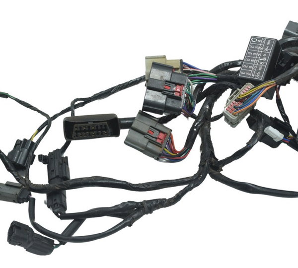 Chicote Principal C/ Avari Triumph Tiger 900 Rally Pro 20-24