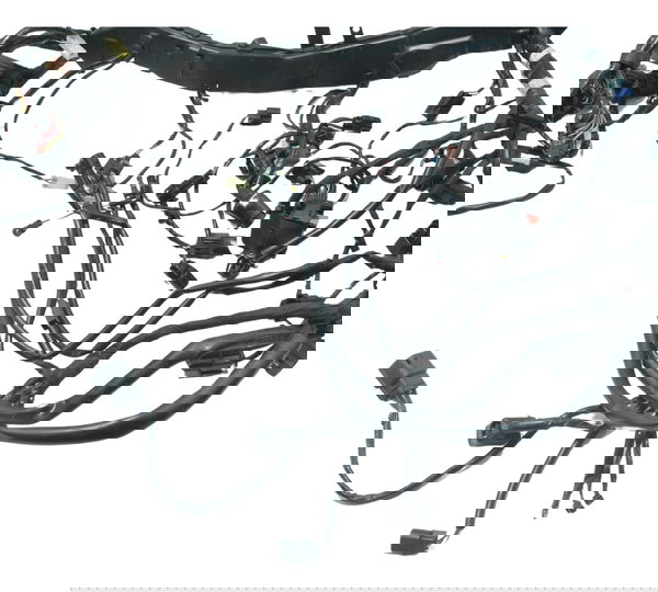 Chicote Principal C/ Avari Triumph Tiger 900 Rally Pro 20-24