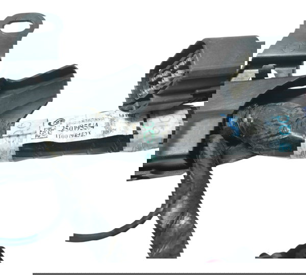 Chicote Principal C/ Avari Triumph Tiger 900 Rally Pro 20-24