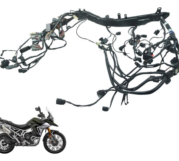 Chicote Principal C/ Avari Triumph Tiger 900 Rally Pro 20-24