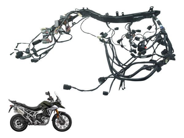 Chicote Principal C/ Avari Triumph Tiger 900 Rally Pro 20-24