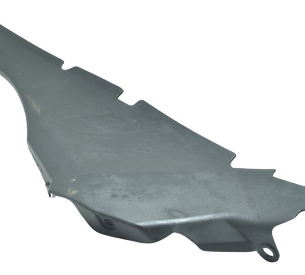 Acabamento Dir C/ Avaria Triumph Tiger 900 Rally Pro 20-24