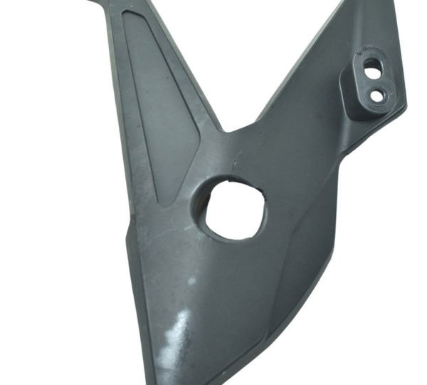 Acabamento Rabeta Dir Avar Triumph Tiger 900 Rally Pro 20-24