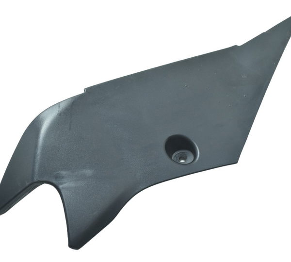 Acabamento Farol Int Dir Triumph Tiger 900 Rally Pro 20-24