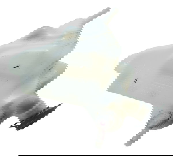 Reservatório Água Triumph Tiger 900 Rally Pro 20-24 Original