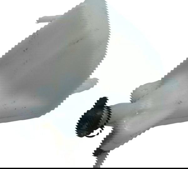 Reservatório Água Triumph Tiger 900 Rally Pro 20-24 Original