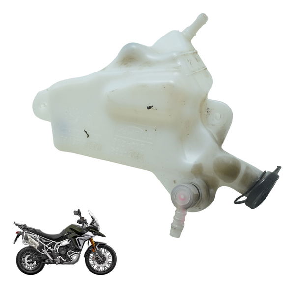 Reservatório Água Triumph Tiger 900 Rally Pro 20-24 Original