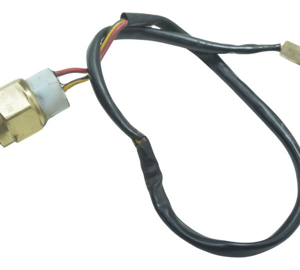 Sensor Temperatura Yamaha Neo 115 08-11 Original