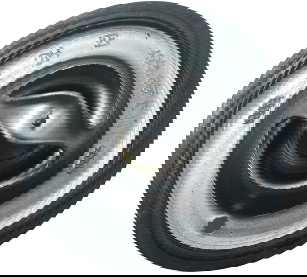 Válvula Termostática Triumph Tiger 900 Rally Pro 20-24 Orig