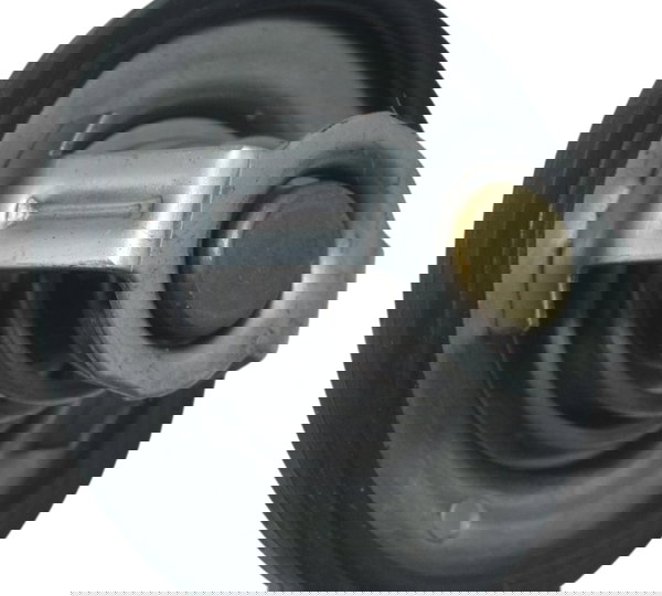 Válvula Termostática Triumph Tiger 900 Rally Pro 20-24 Orig