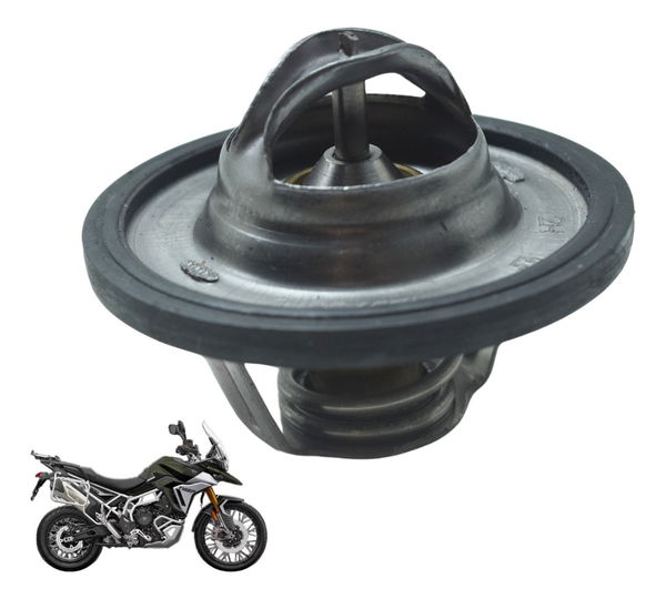 Válvula Termostática Triumph Tiger 900 Rally Pro 20-24 Orig