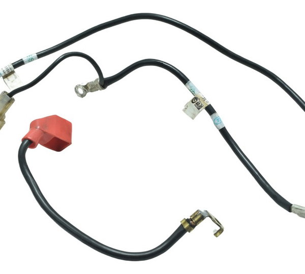 Cabo Bateria +/- Triumph Tiger 900 Rally Pro 20-24 Original