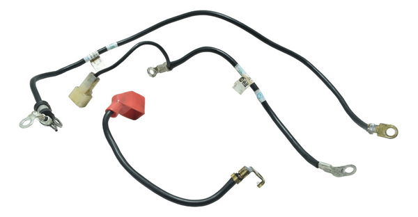 Cabo Bateria +/- Triumph Tiger 900 Rally Pro 20-24 Original
