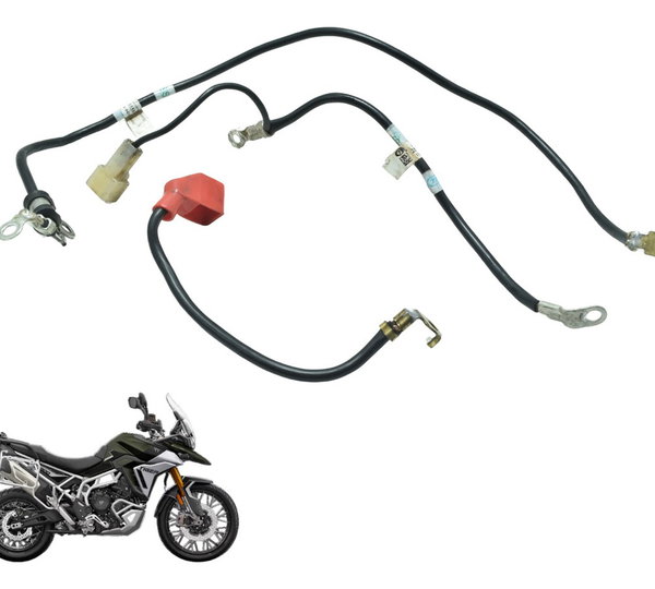 Cabo Bateria +/- Triumph Tiger 900 Rally Pro 20-24 Original