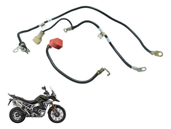 Cabo Bateria +/- Triumph Tiger 900 Rally Pro 20-24 Original