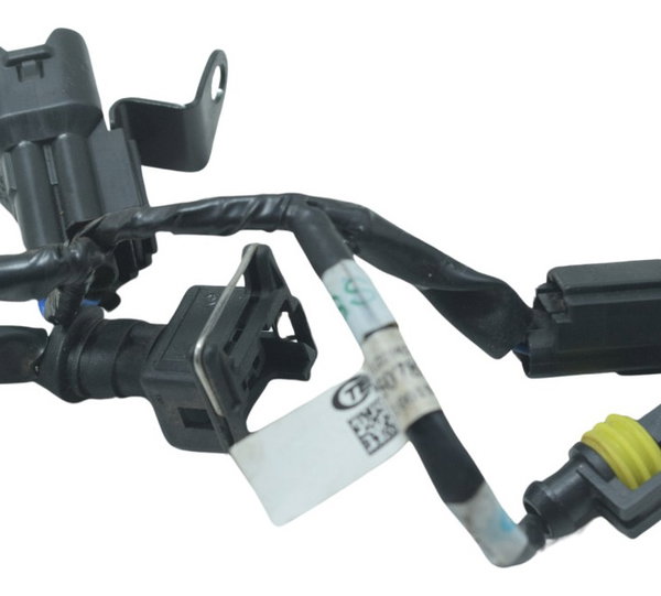 Chicote Motor Triumph Tiger 900 Rally Pro 20-24 Original