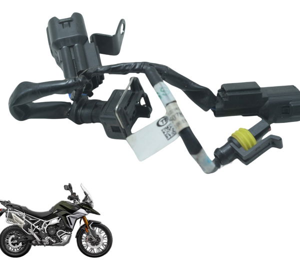 Chicote Motor Triumph Tiger 900 Rally Pro 20-24 Original