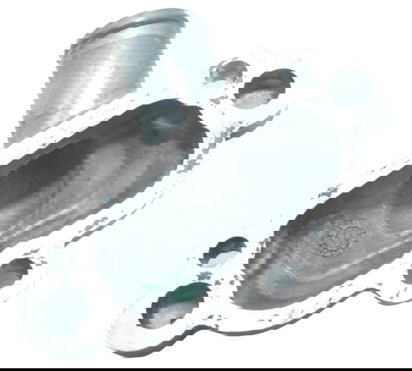 Conexão Água Triumph Tiger 900 Rally Pro 20-24 Original