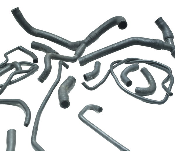 Kit Mangueiras Triumph Tiger 900 Rally Pro 20-24 Original