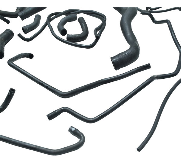 Kit Mangueiras Triumph Tiger 900 Rally Pro 20-24 Original
