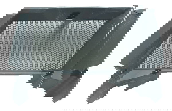 Grade Proteção Radiador Avaria Bmw F 800 Gs Adv 13-16 Orig