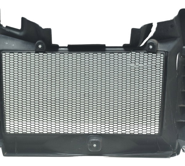 Grade Proteção Radiador Avaria Bmw F 800 Gs Adv 13-16 Orig Preto