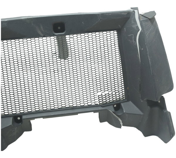 Grade Proteção Radiador Avaria Bmw F 800 Gs Adv 13-16 Orig Preto