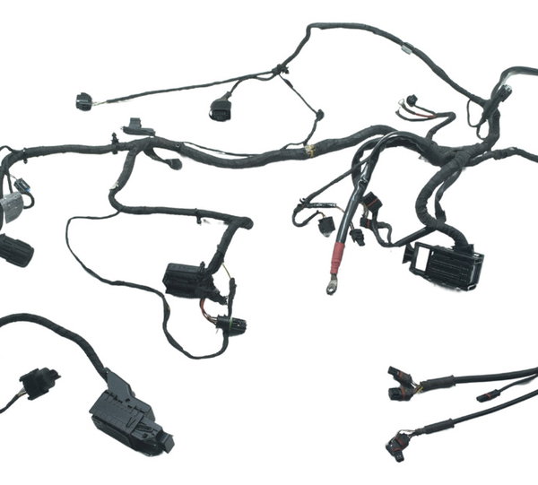 Chicote Principal Bmw F 800 Gs Adv 13-16 Original