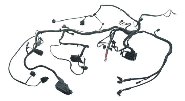 Chicote Principal Bmw F 800 Gs Adv 13-16 Original