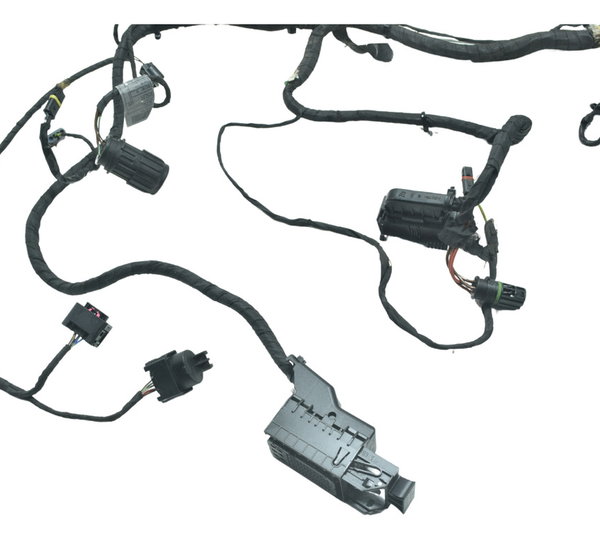 Chicote Principal Bmw F 800 Gs Adv 13-16 Original