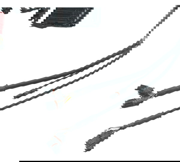 Chicote Principal Bmw F 800 Gs Adv 13-16 Original