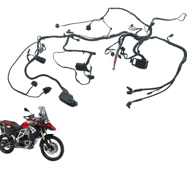 Chicote Principal Bmw F 800 Gs Adv 13-16 Original
