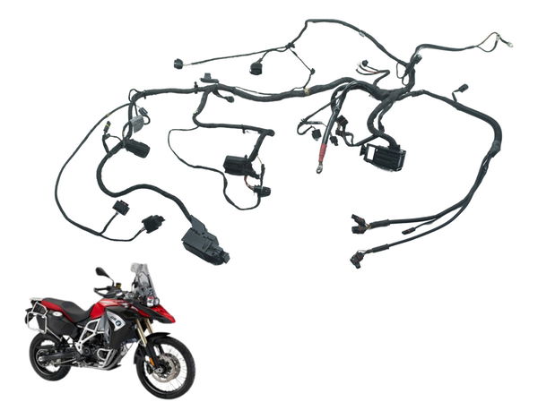 Chicote Principal Bmw F 800 Gs Adv 13-16 Original