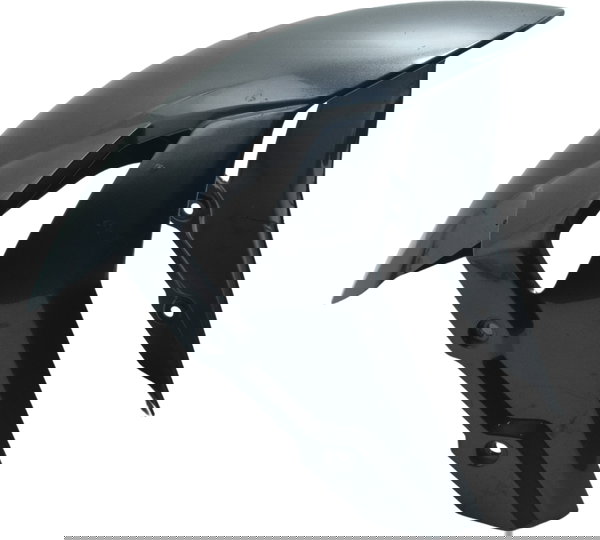 Paralama Dianteiro C/det Bmw S1000rr S 1000rr 20-23 Original