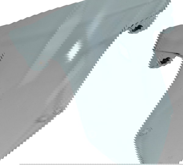 Bolha Para-brisa Bmw S1000rr S 1000rr 20-23 Original