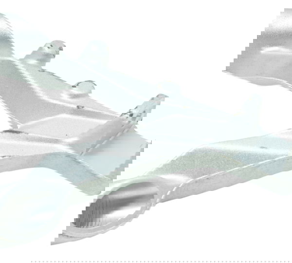 Bacalhau Dianteiro Esquerdo Bmw S1000rr S 1000rr 20-23 Orig