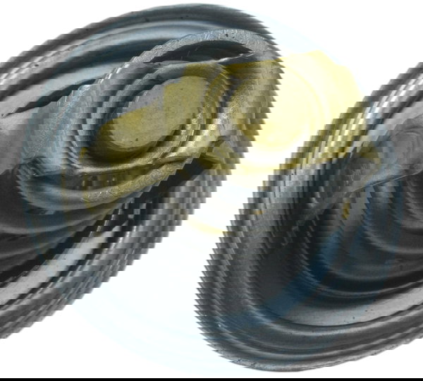 Válvula Termostática Bmw S1000rr S 1000rr 20-23 Original