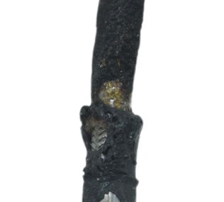 Flexível Freio Traseiro Bmw S1000rr S 1000rr 20-23 Original