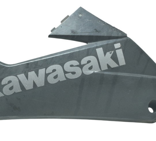 Spoiler Esq C/ Detalhes Kawasaki Ninja 300 13-18 Original Preto