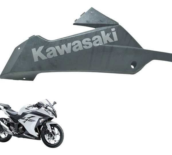 Spoiler Esq C/ Detalhes Kawasaki Ninja 300 13-18 Original Preto